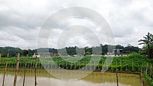 man-made lakes for fish farming and sale to consumers