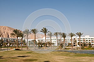 Man-made oasis at the hotel. Taba, Egypt.