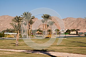 Man-made oasis at the hotel. Taba, Egypt.