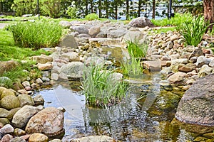 Man-Made Stream in Lush Garden Setting, Warsaw Biblical Gardens
