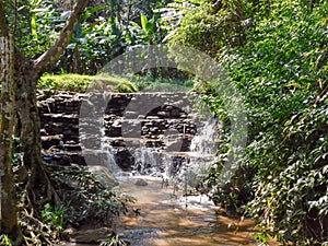 A man made waterfall at the botanical garden of Chiang Mai