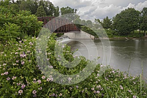 Man-made Waterfall on Mohawk River at Bellamy Harbor Park, Rome, New York