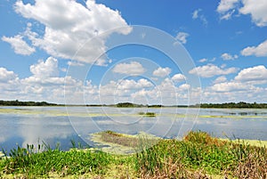 Man-made Wetlands- Orlando Wetlands Park #3