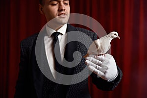 Man magician showing trick with white dove bird selective focus