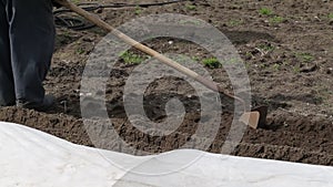 A man makes furrows in the ground with a manual hiller. Farming, planting plants in spring, lose-up