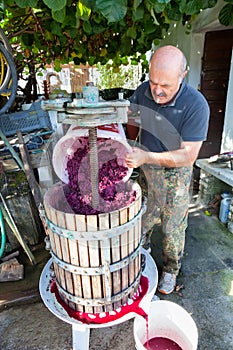 Man making red wine