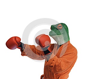 Man with a mask of a frog on his head with colored robe and arms outstretched with boxing gloves in his hands punching on white