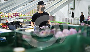 Man in mask working at fruit warehouse