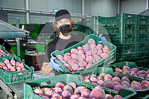 Man in mask working at fruit warehouse