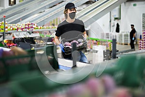 Man in mask working at mango warehouse