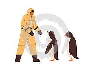Man meeting Arctic penguins. Bird keeper at South pole, Antarctica. Polar antarctic scientist zoologist studying animals