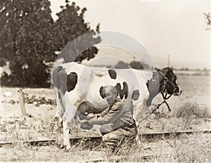 Man milking cow in field