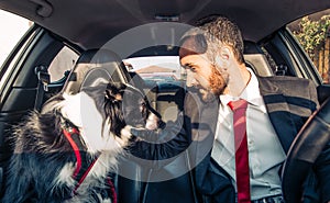 Man motivate his dog before canine competition