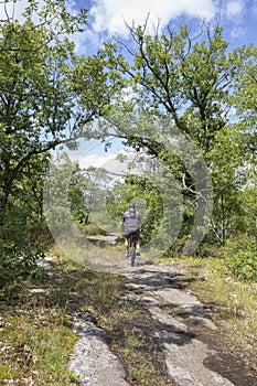 Man on a mountain bike trail