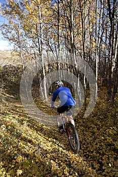 Man mountain biking