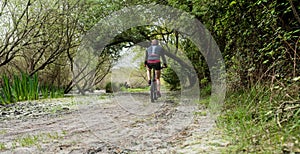 man mountain biking in a beautiful landscape of a forest in spring