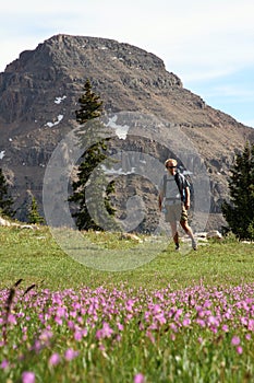 Man in mountain meadow