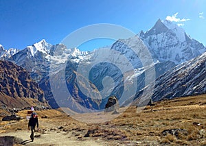 Man and mountain view Machapuchare