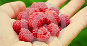 Man move raspberries in the palm