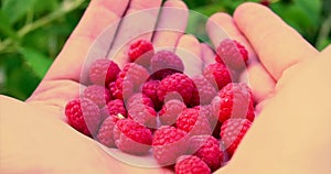 Man move raspberries in the palms.