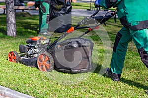 A man moves with an electrician to a lawnmower and mows green grass in the backyard. Garden cleaning services. Garden Supplies