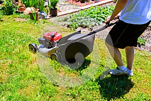 Man mowing the lawn with blue lawnmower in summertime closeup