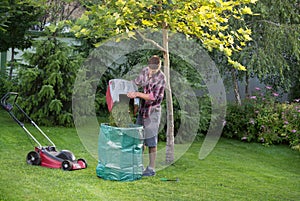 Man mowing lawn and keeping clean garden