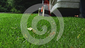 Man mowing the lawn with lawn mower in summer. Turf grass in the garden and man with lawn mower cutting green grass in