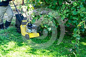 Man mowing lawn with yellow lawn mower in backyard