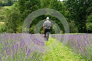 A man mows the grass with an electric lawnmower. Lithium Ion battery powered Electric Lawn mower.