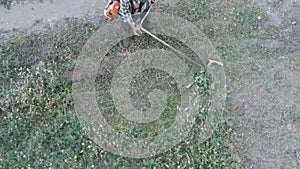 Man Mows the Grass with a Manual Petrol Lawn Mower