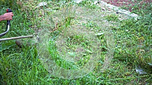 Man mows the grass with a manual petrol lawn mower in Slow Motion. Process of lawn trimming with a hand mower. Side view