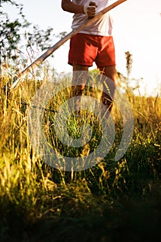 a man mows the grass with a mechanical scythe. harvest