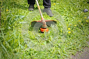 Man mows grass trimer. Close up