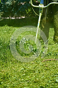 A man mows green lawn grass on a park lawn with a gasoline mower