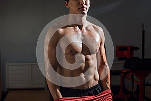Man with muscular torso showing six pack abs