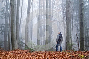Man in the mysterious dark beech forest in fog