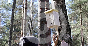 Man nailing bird house on the tree trunk