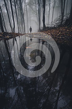 Man near lake in mysterious forest with fog