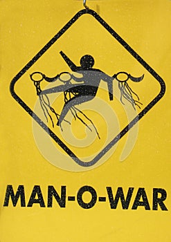 Man-O-War