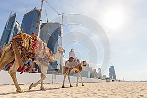 Man offering camel ride on Jumeirah beach, Dubai, United Arab Emirates.