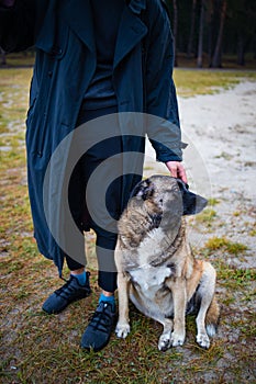 Man with old dog in forest. Lonely homeless stray dog sitting near man.