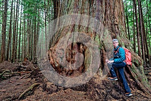 Man at an old-growth forest on Malcolm Island near Vancouver Island, BC Canada.