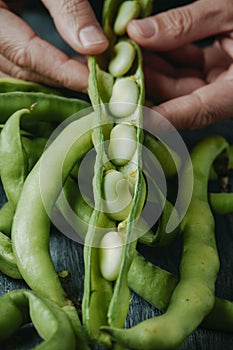 man with an open broad bean pod in his hand