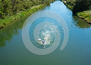 Man open water swimming front crawling a river in Vendee France