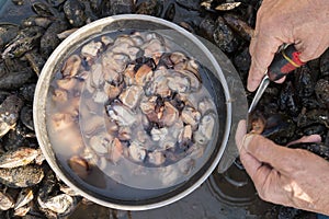 Man opens mussel shells