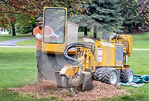 Man operates a stump grinder in a yard