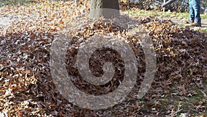 Man operating a heavy duty leaf blower: the leaves