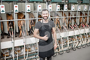 Man operating milking machine at the goat farm