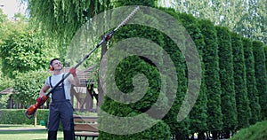 Man in overalls shaping hedge with electric trimmer